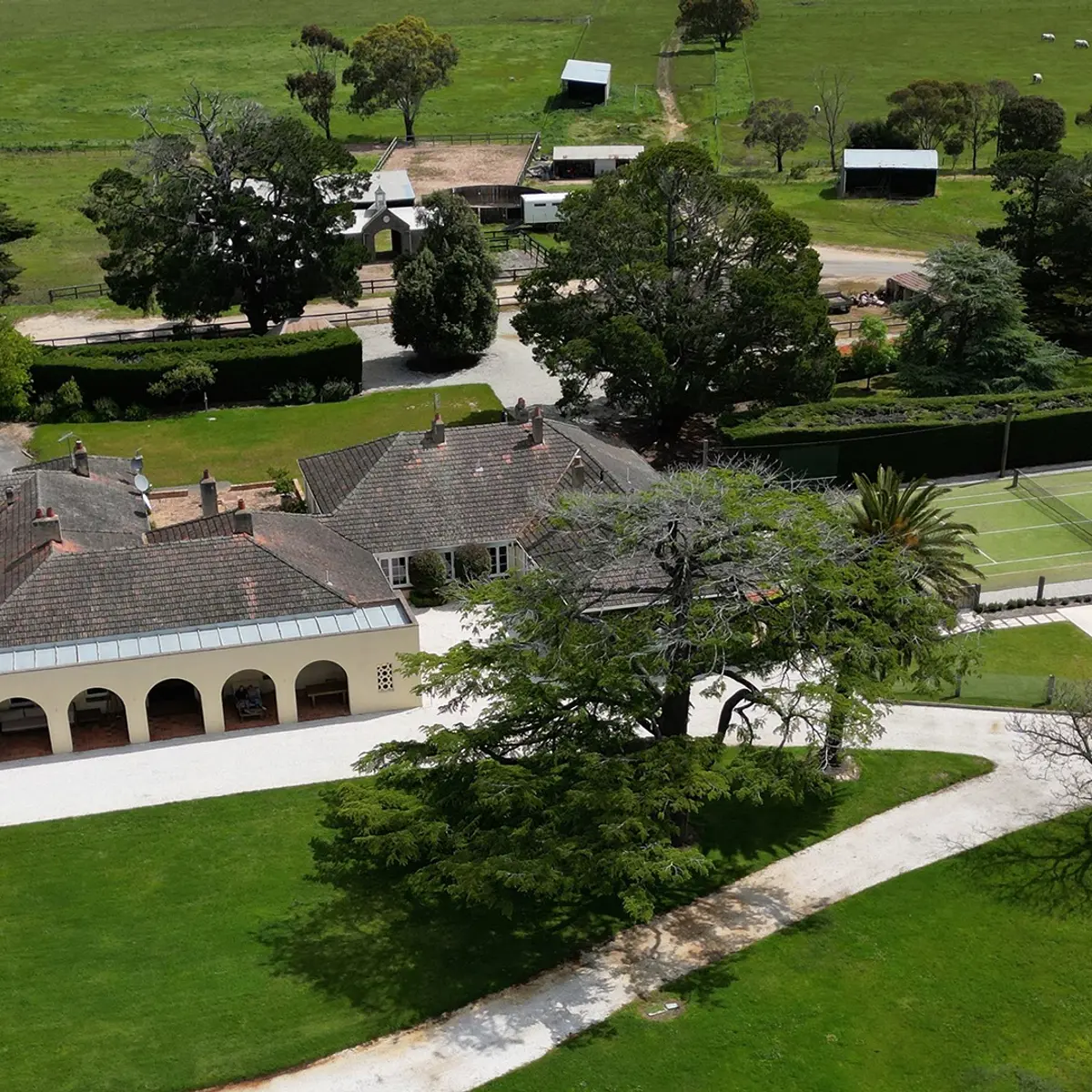Mount William Station, Grampians, Victoria 1