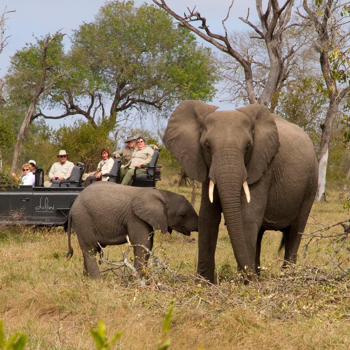 Ultra Lux 12-tägige Reise durch das südliche Afrika mit Sabi Sands, den Victoriafällen & dem Chobe-Nationalpark von  1
