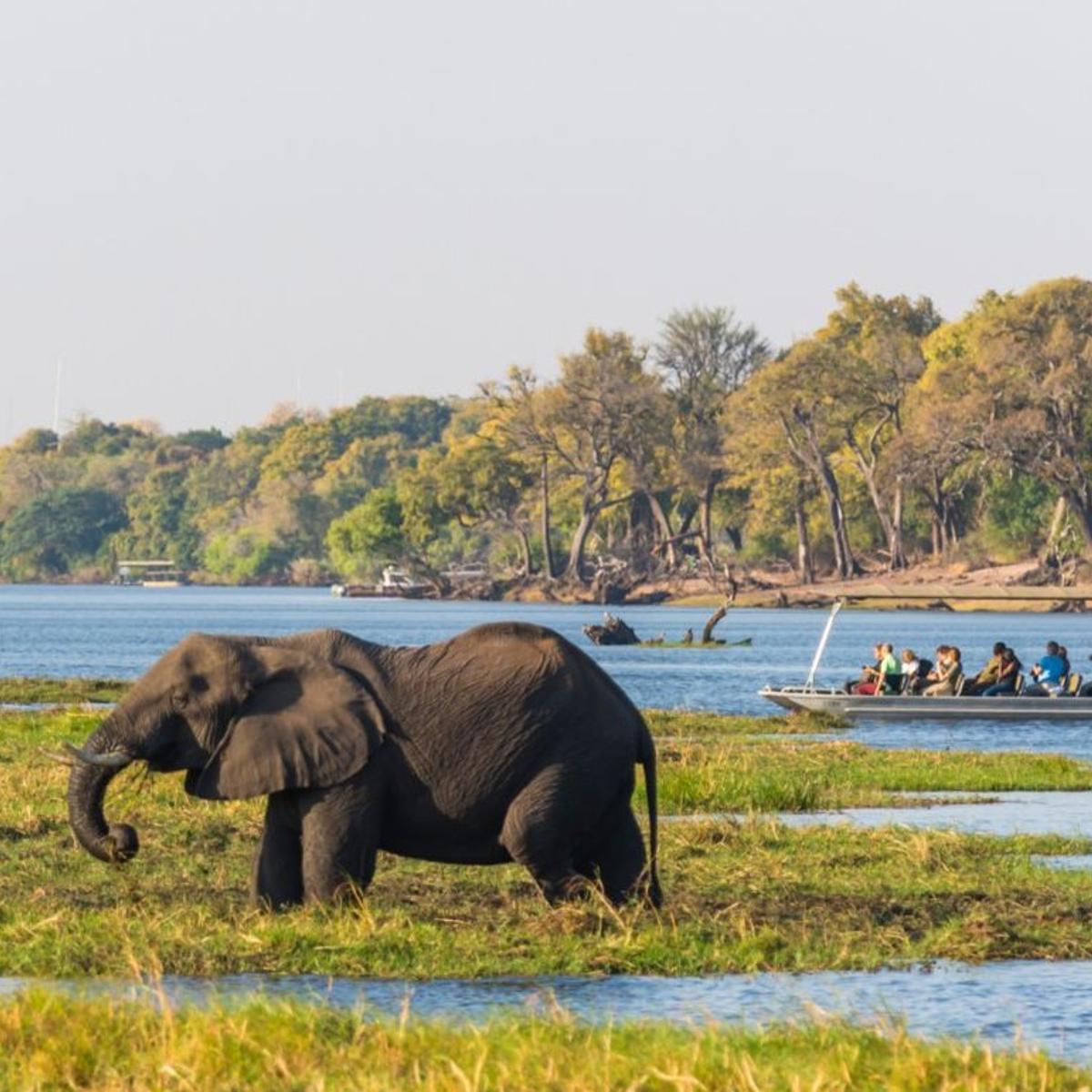 Deluxe 21-Day Ultimate Southern Africa 2027 with Cape Town, Greater Kruger, Victoria Falls & Namib Desert by  1