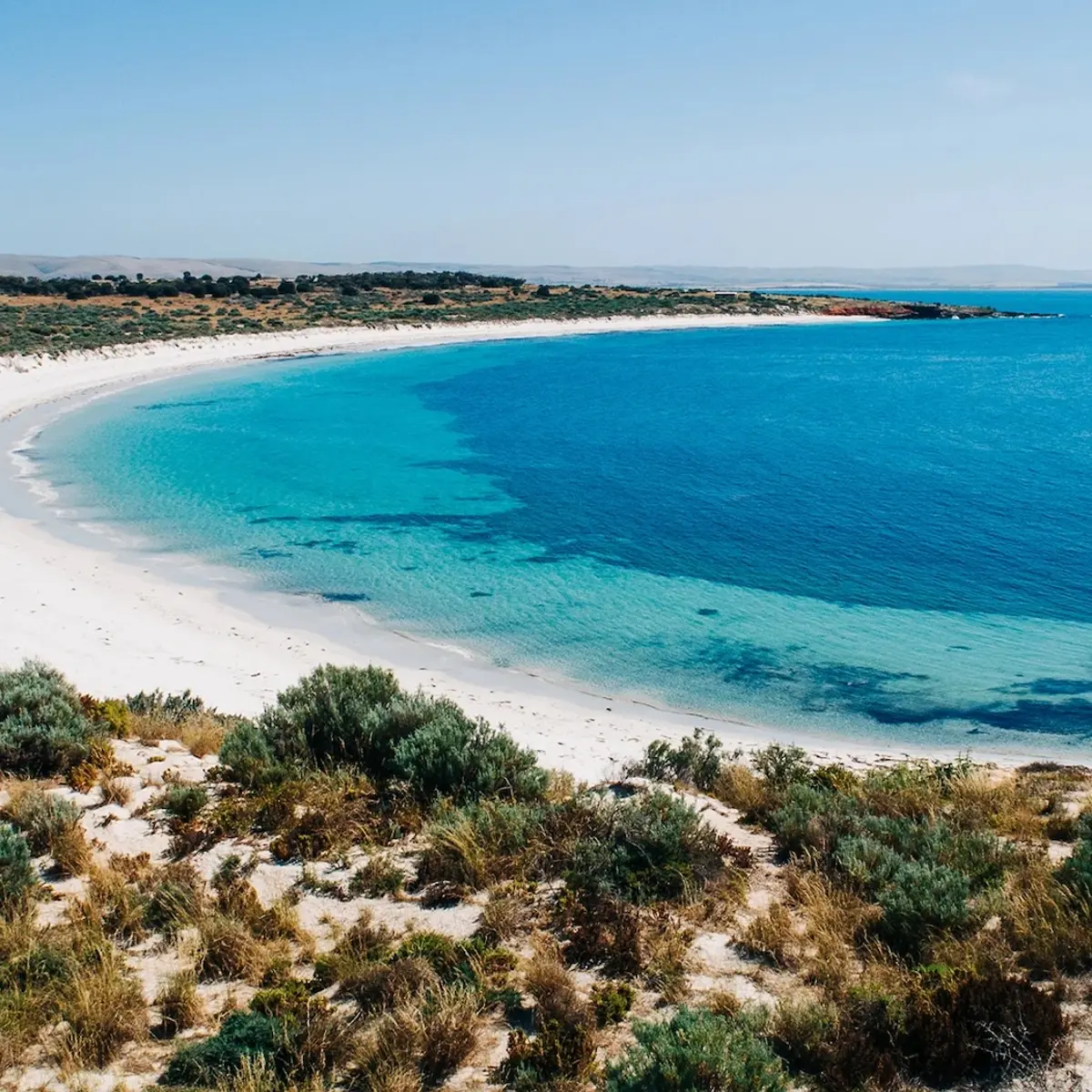 Rumi on Louth, Louth Island, South Australia 1