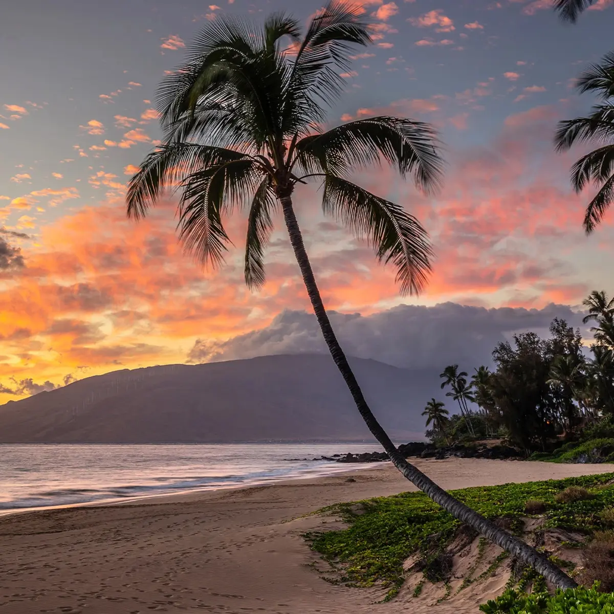 Royal Lahaina Resort & Bungalows, Hawaii, USA 6