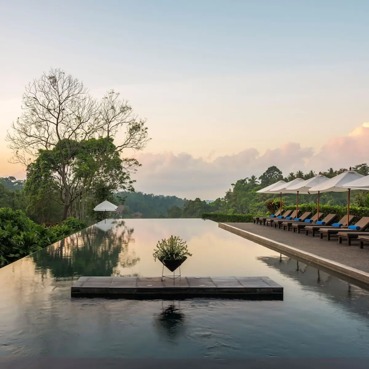 Alila Ubud. Bali, Ubud, Indonesia 1