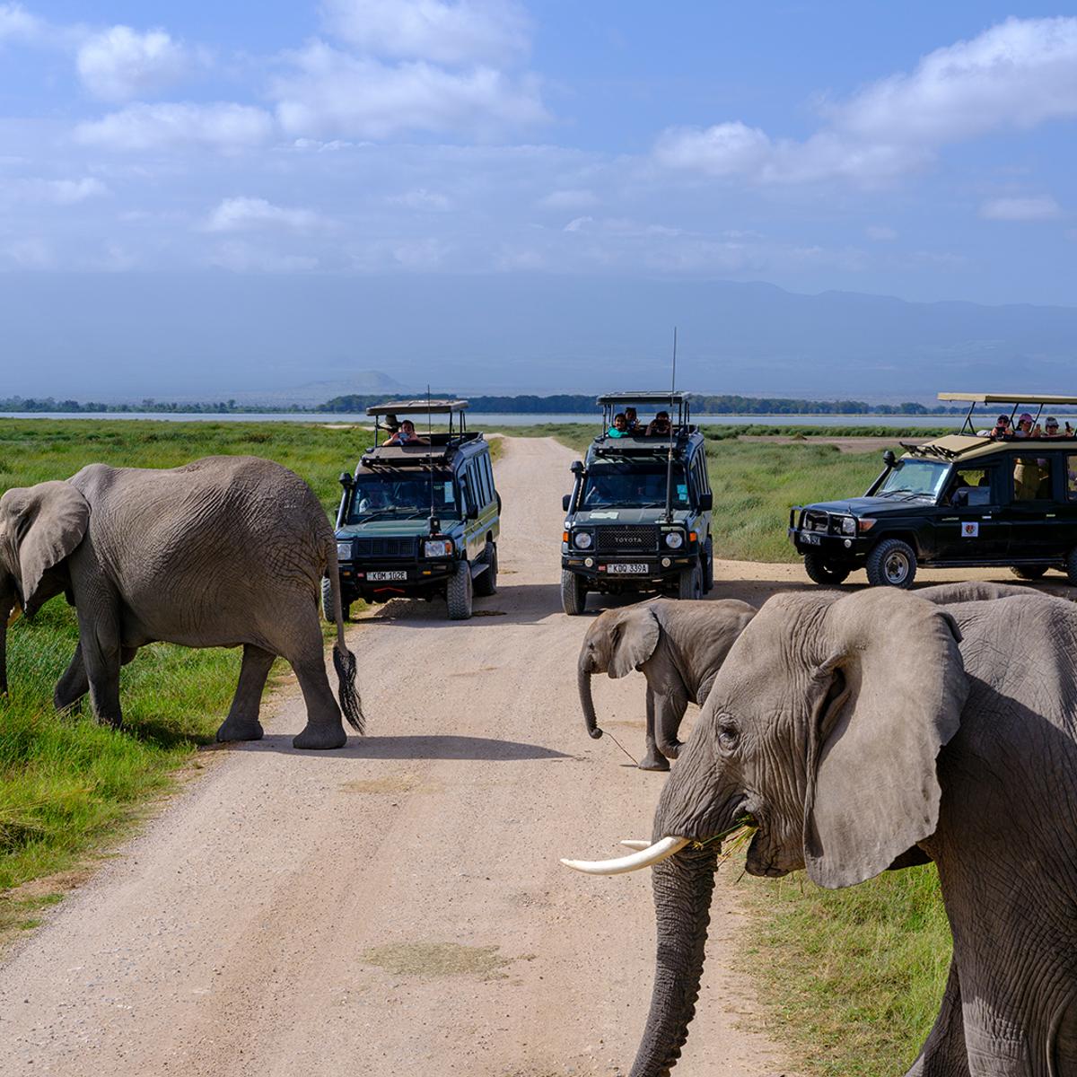 Deluxe 13-Day Kenya & Tanzania Great Migration Safari 2027 with Maasai Mara & Serengeti National Parks  by  4