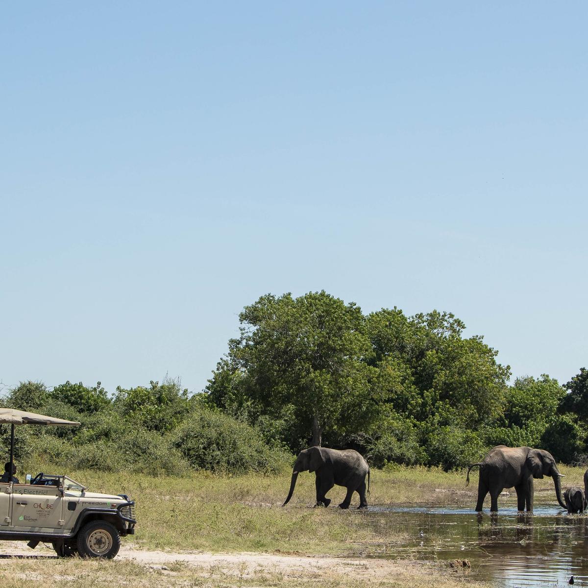 Ultra Lux 12-tägige Reise durch das südliche Afrika mit Sabi Sands, den Victoriafällen & dem Chobe-Nationalpark von  8
