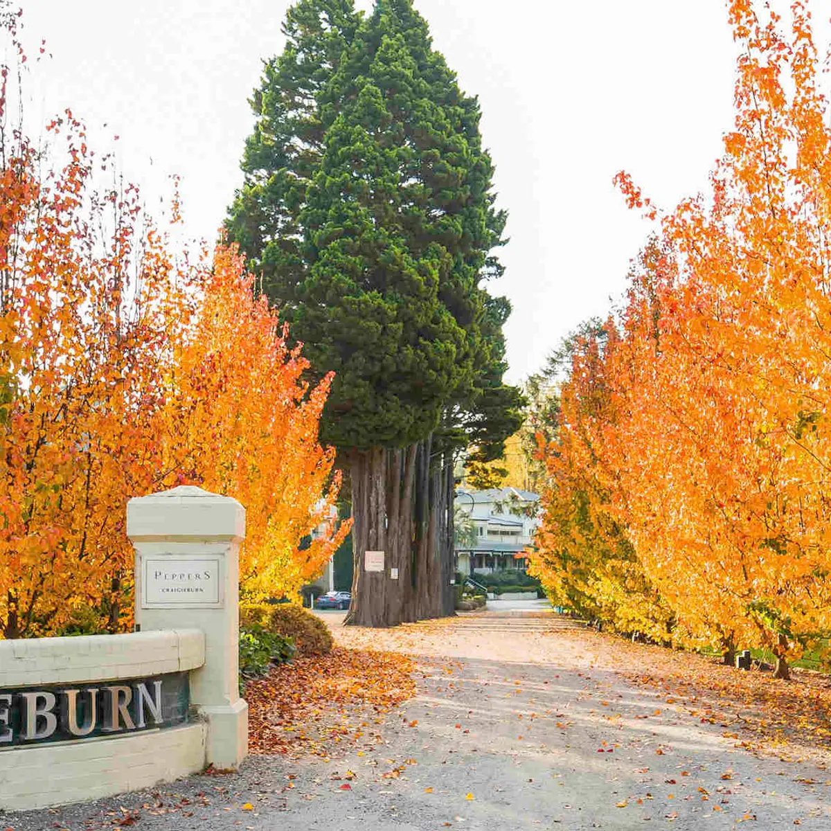 Peppers Craigieburn Bowral, Bowral, Australia 7