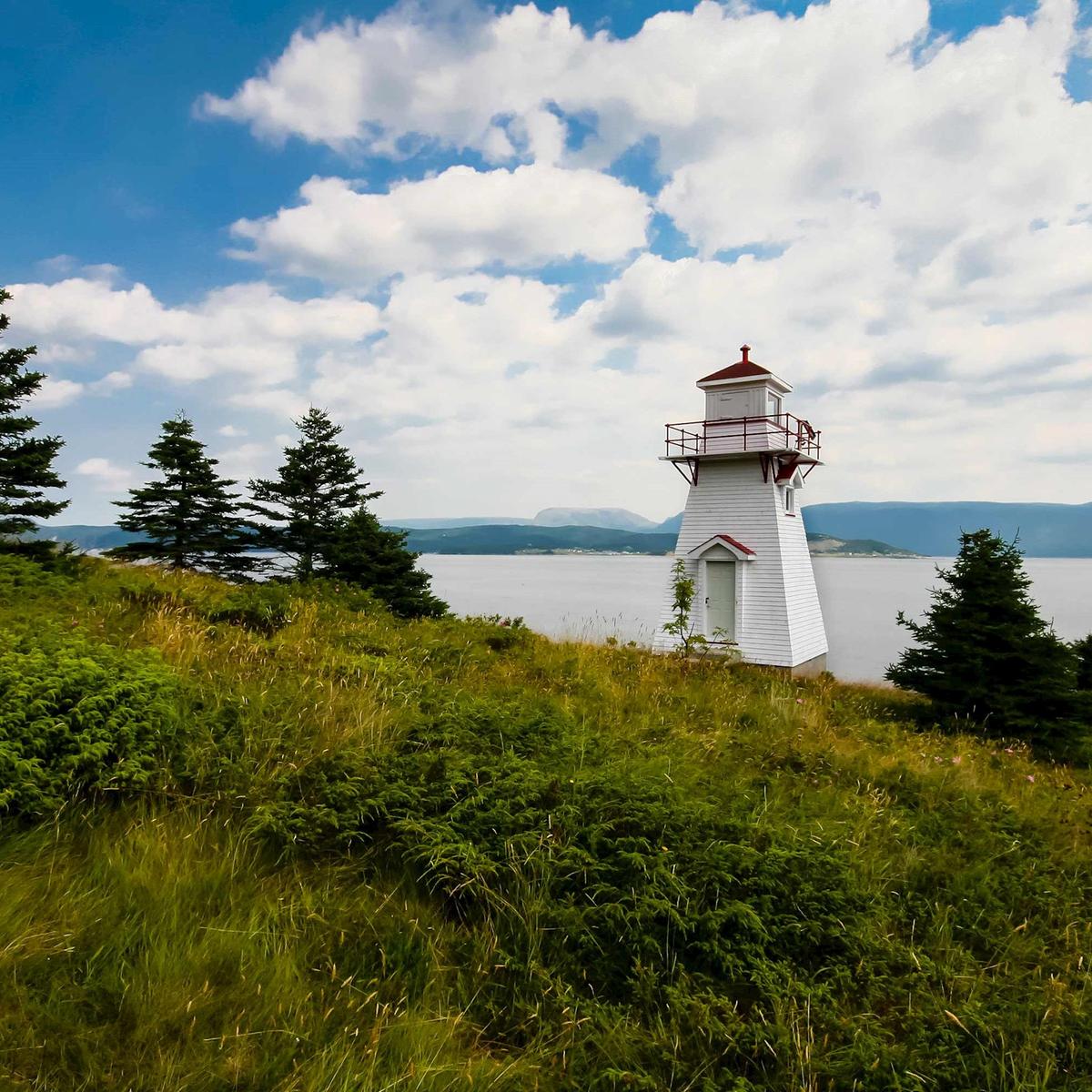 Scenic Wonders of Newfoundland and Labrador by  1
