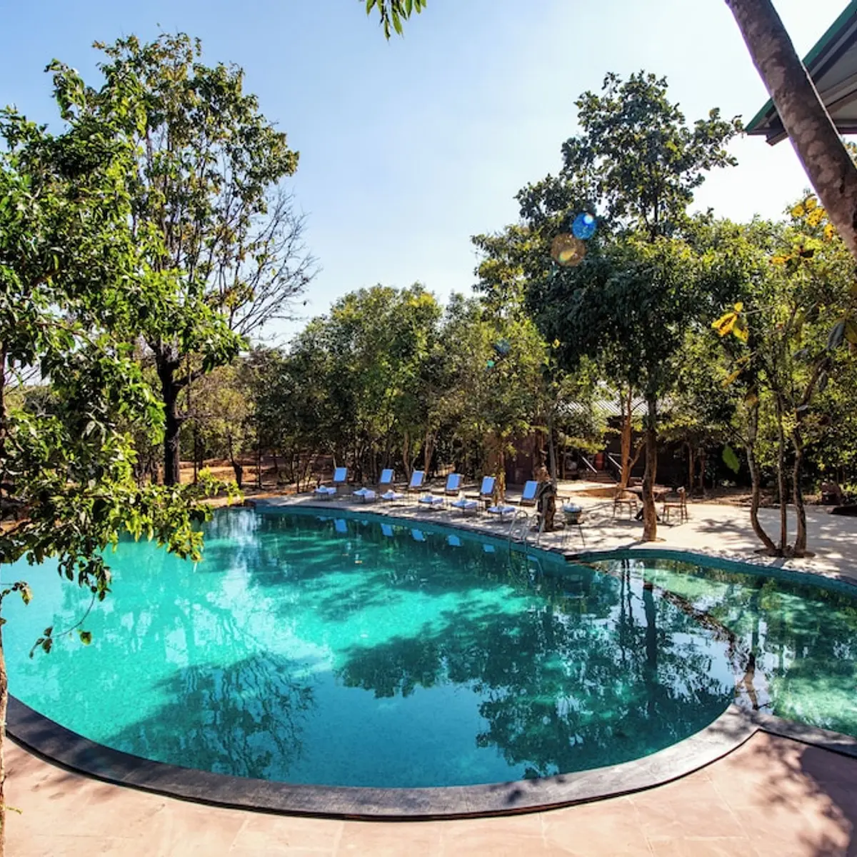 Kanha Jungle Camp, Baihar, India 7