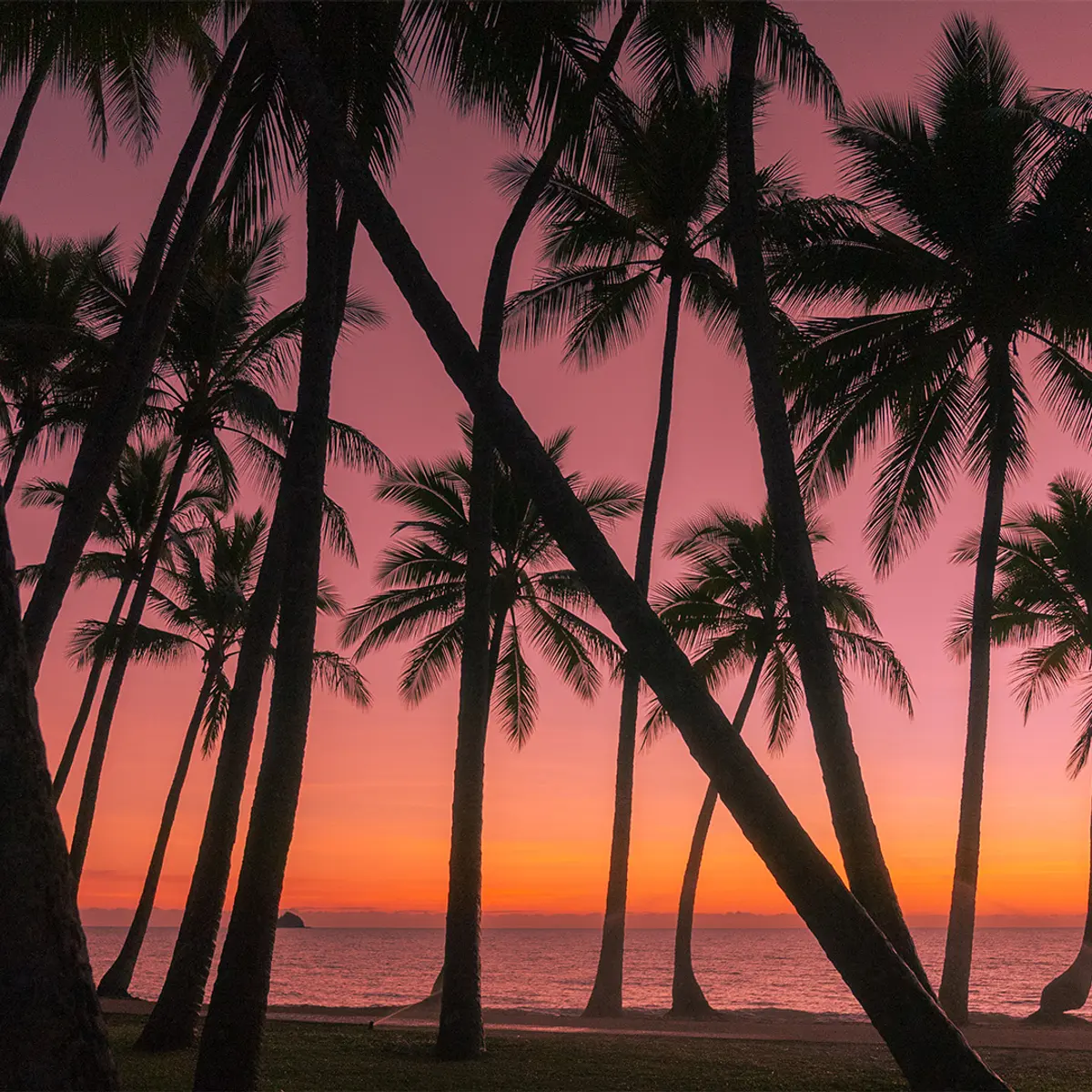 Alamanda Palm Cove by Lancemore, Palm Cove, Queensland 8