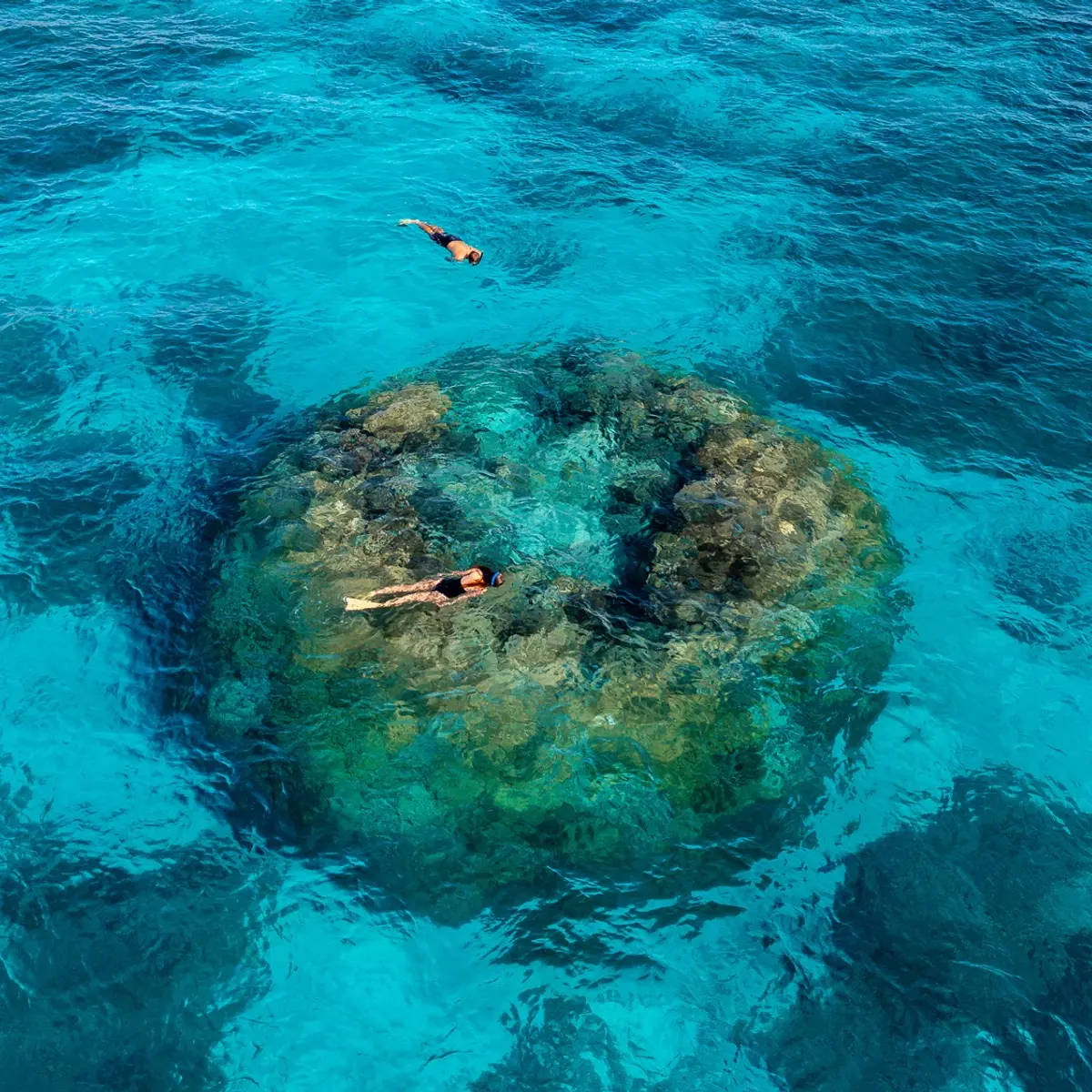 Wilson Island, Wilson Island, Queensland 2