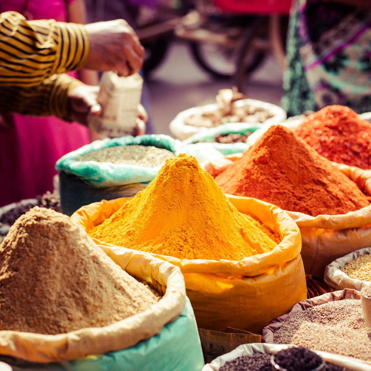 Premium 15-Day Ultimate India with Golden Triangle, Rajasthan & South India by  5