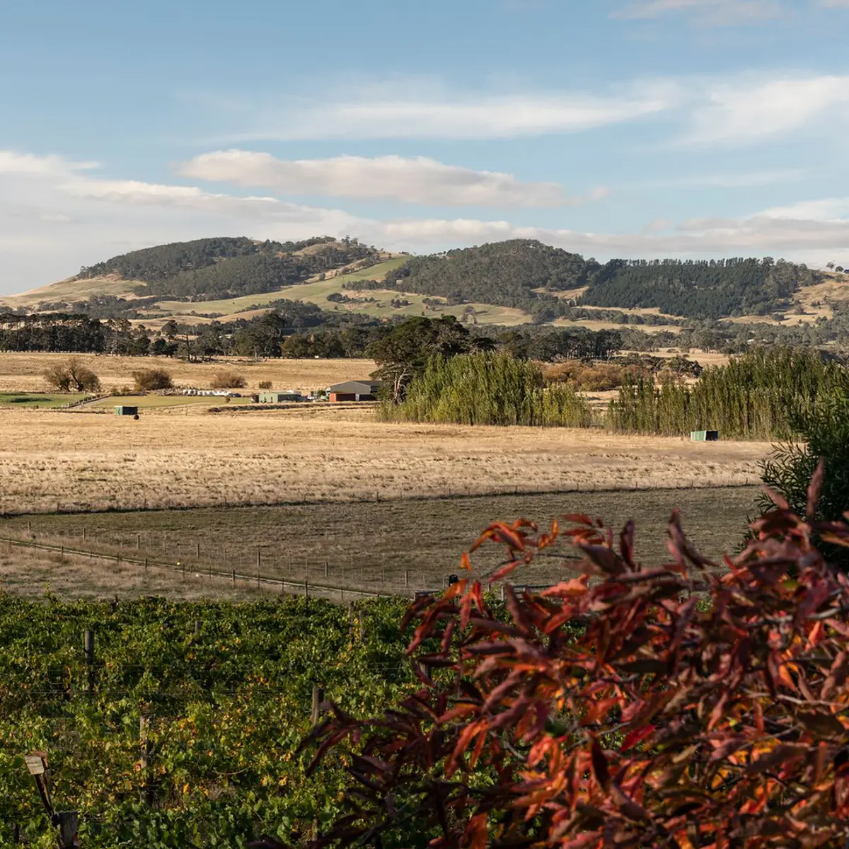 Cleveland Winery, Macedon Ranges, Victoria 5