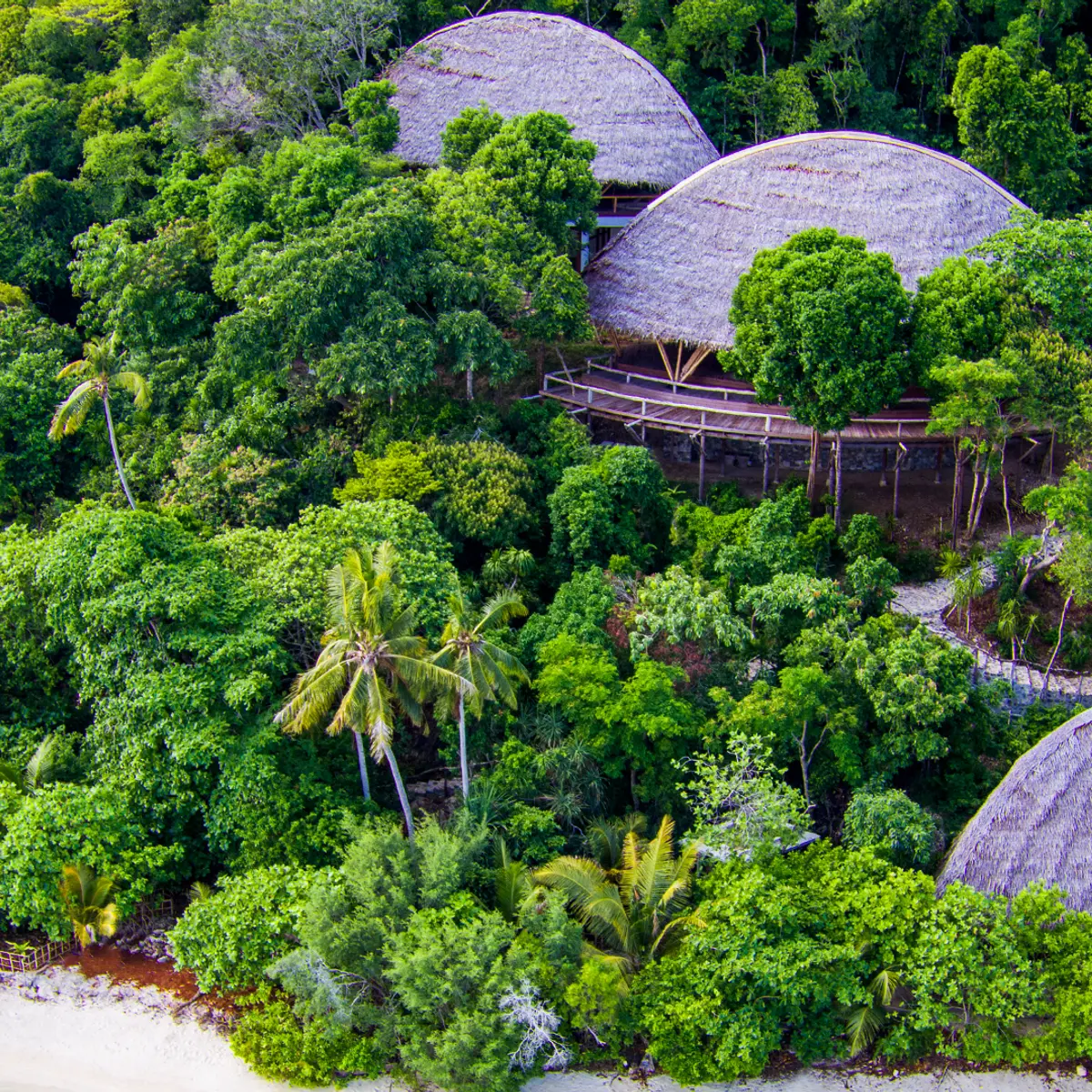 Bawah Reserve, Bawah Island, Indonesia 5