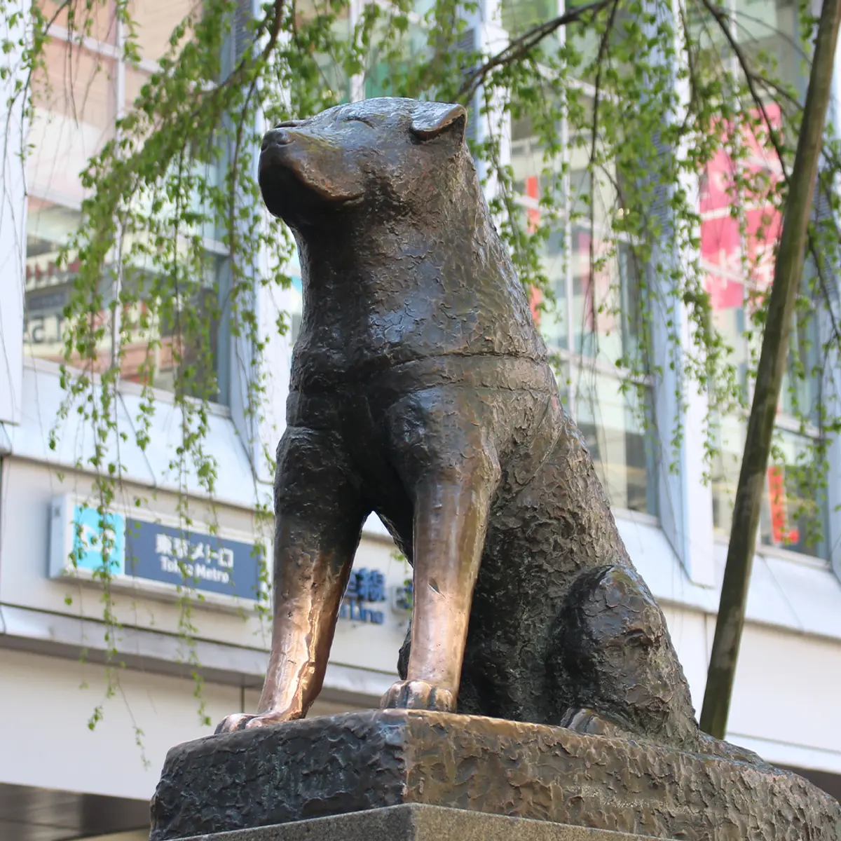 Hotel Indigo Tokyo Shibuya , Tokyo, Japan 6