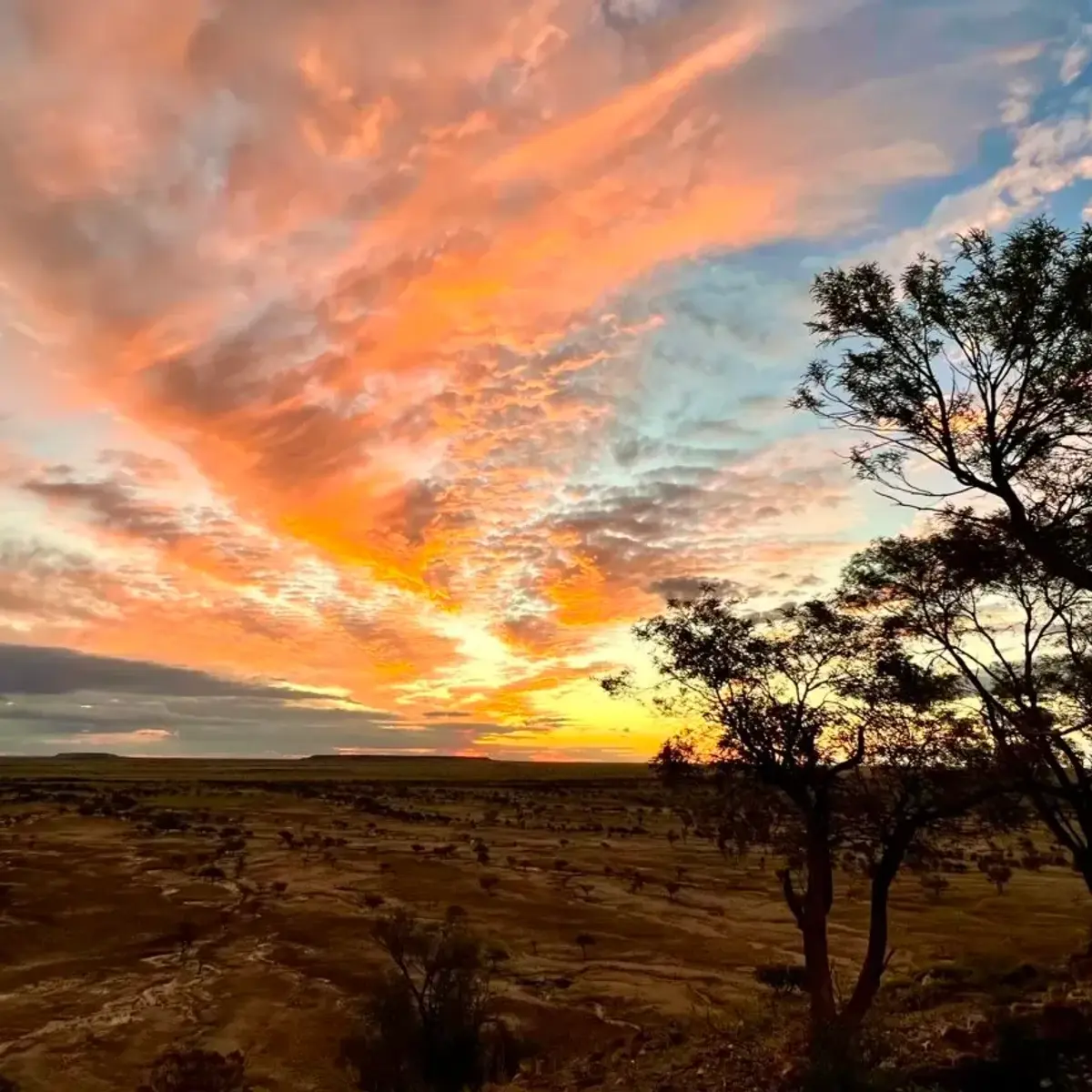 Rangelands Outback Camp, Queensland, Australia 7