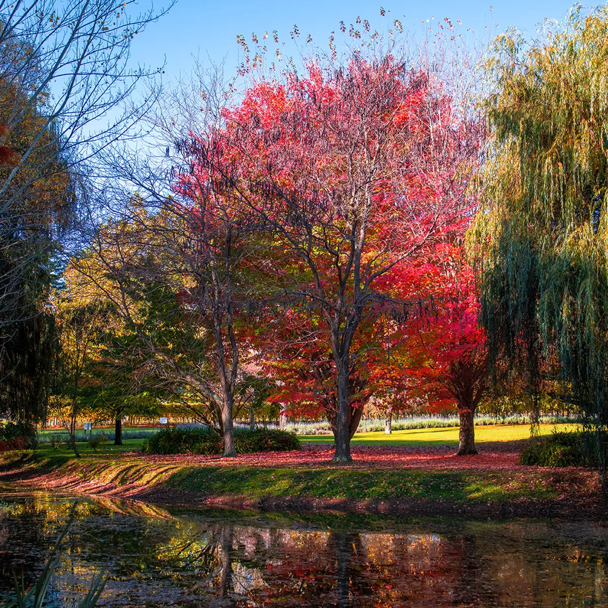 The Marlborough – Boutique Hotel & Vineyard, Rapaura, New Zealand 7