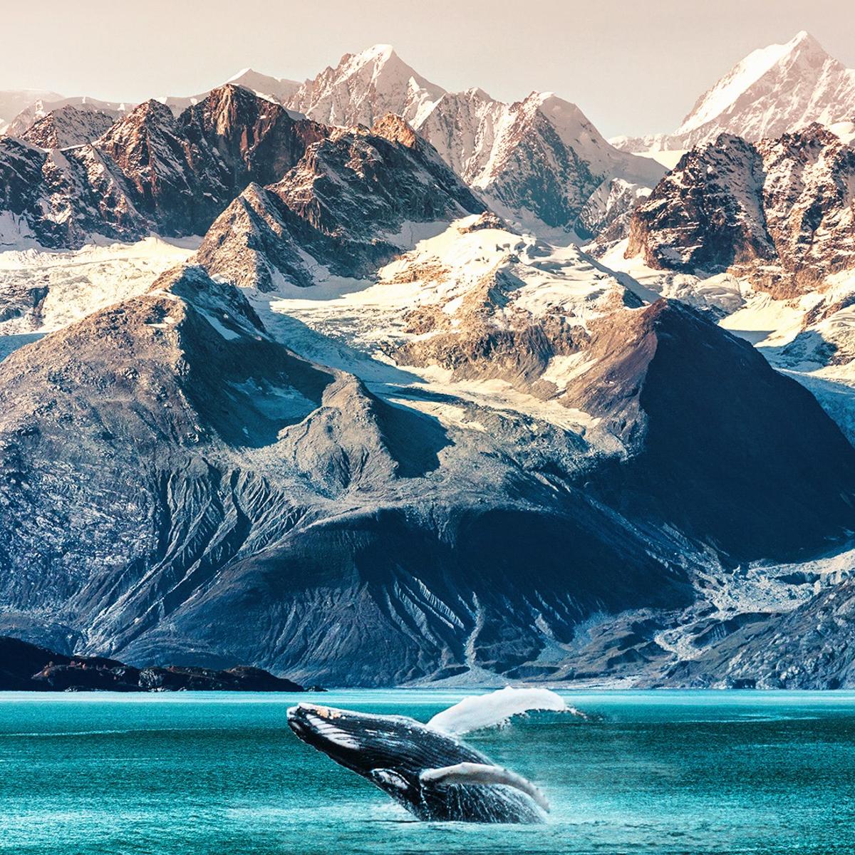 Deluxe 19-Day Canada & Alaska Rail & Sail with Rocky Mountaineer & Inside Passage Cruise by  1