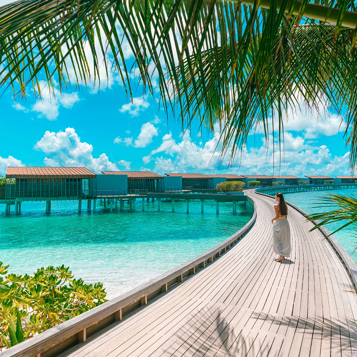 x, Gaafu Alifu Atoll, Maldives 6