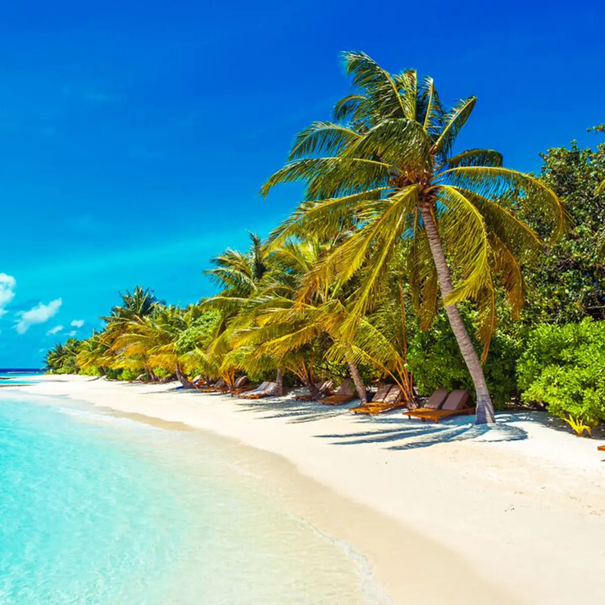 Lily Beach Resort & Spa, Huvahendhoo, Maldives 4