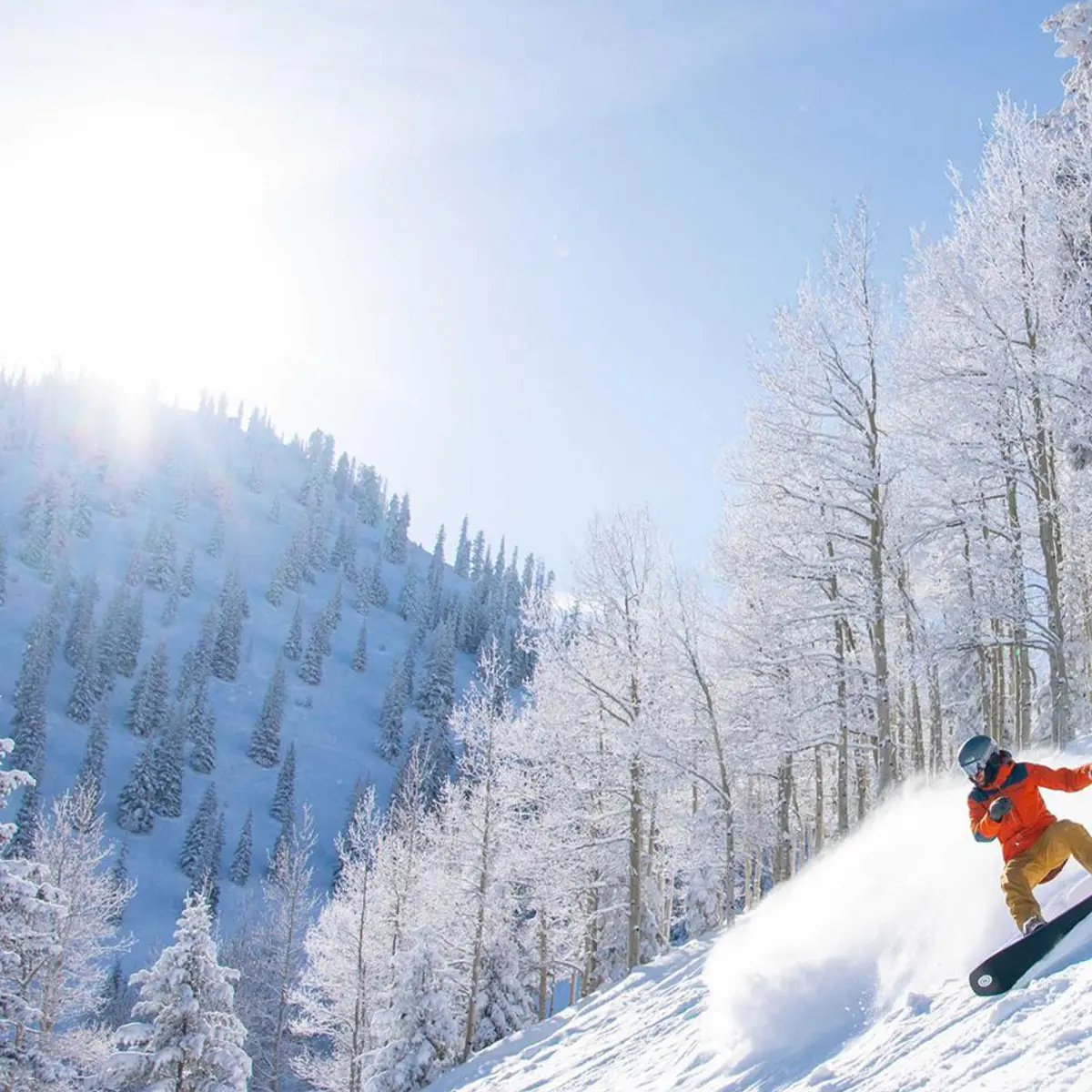 Aspen Meadows Resort, Colorado, United States 4