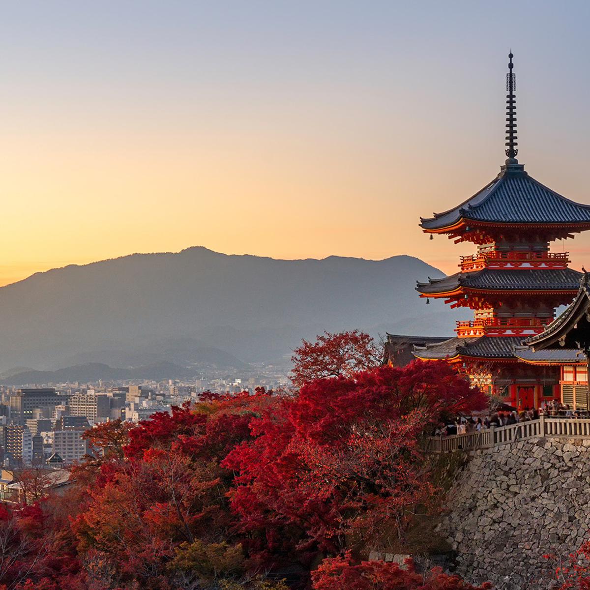 Limited Time Offer: Deluxe 7-Day Japan Highlights 2026 with Tokyo, Kyoto & Osaka (No Solo Traveller Surcharge) by  4