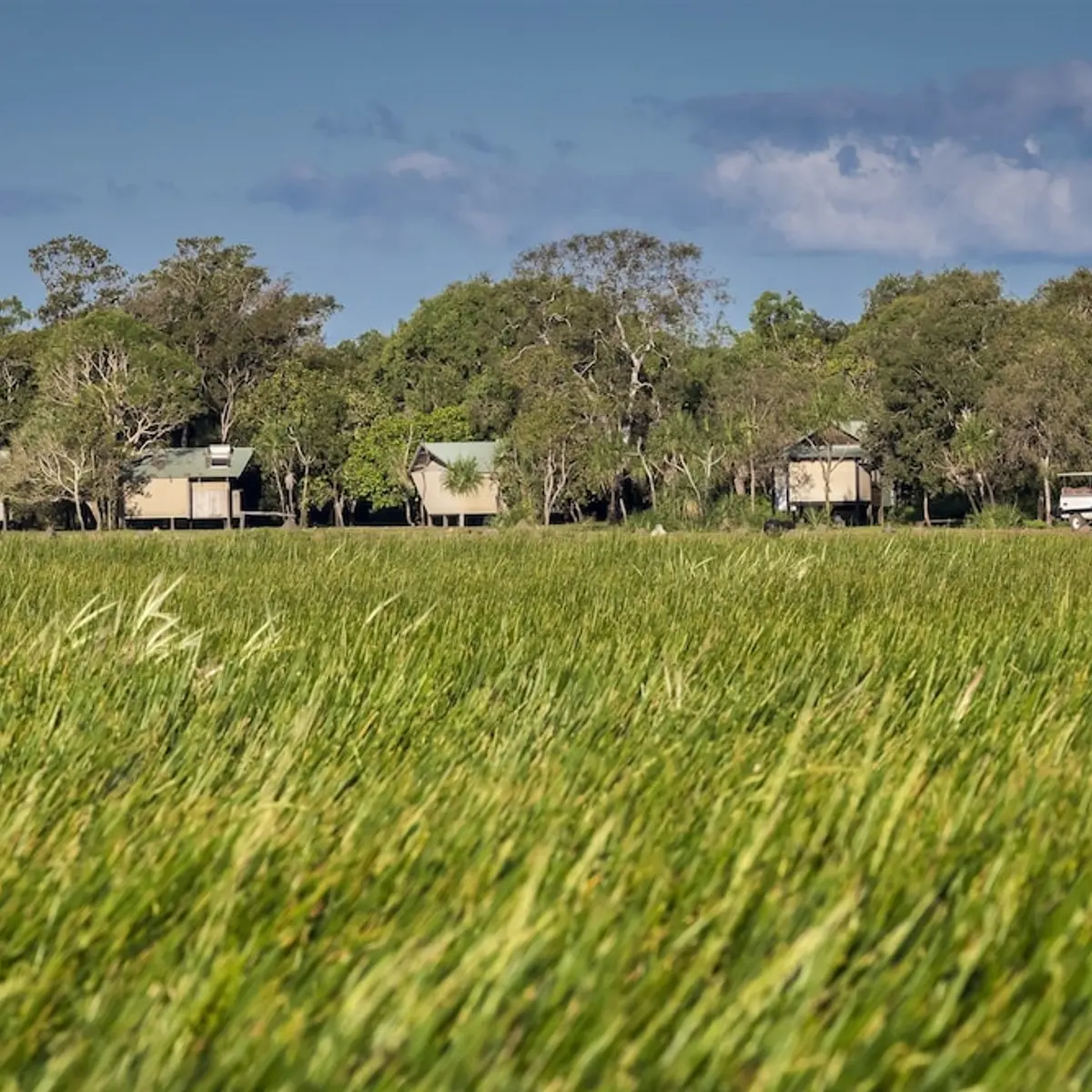 Bamurru Plains, Point Stuart, Australia 7