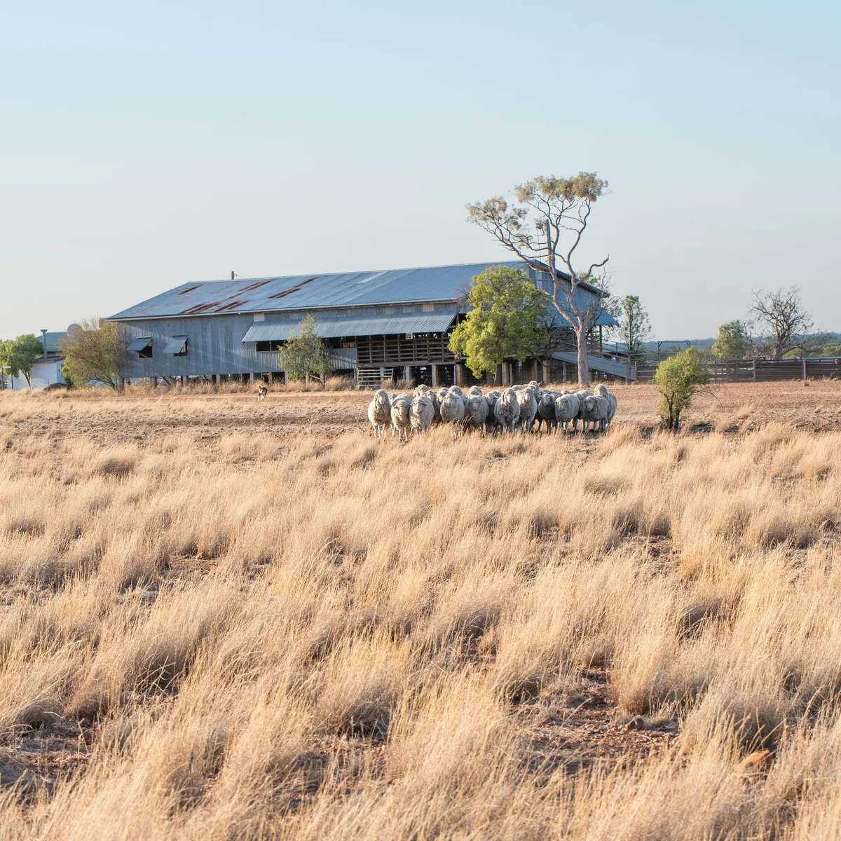 Outback Pioneers, Longreach, Queensland 8