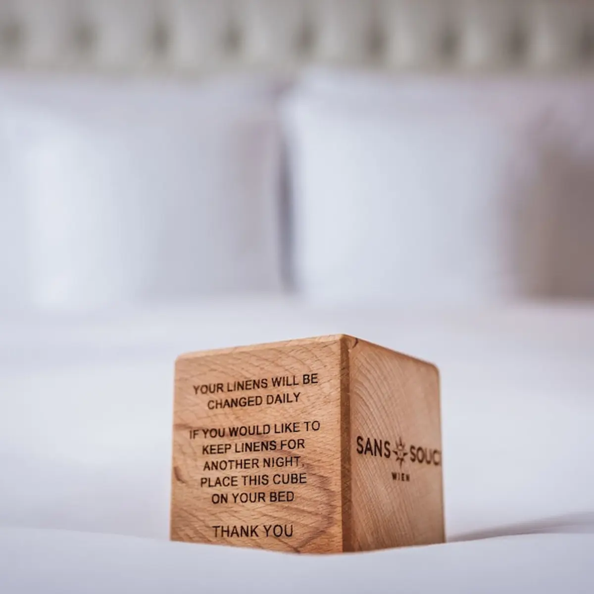 Hotel Sans Souci, Vienna, Vienna, Austria 6