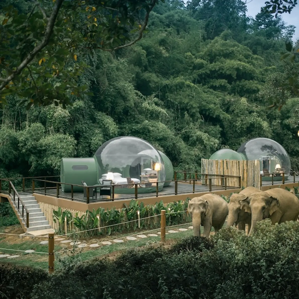 Anantara Golden Triangle Elephant Camp & Resort, Chiang Saen, Thailand 6