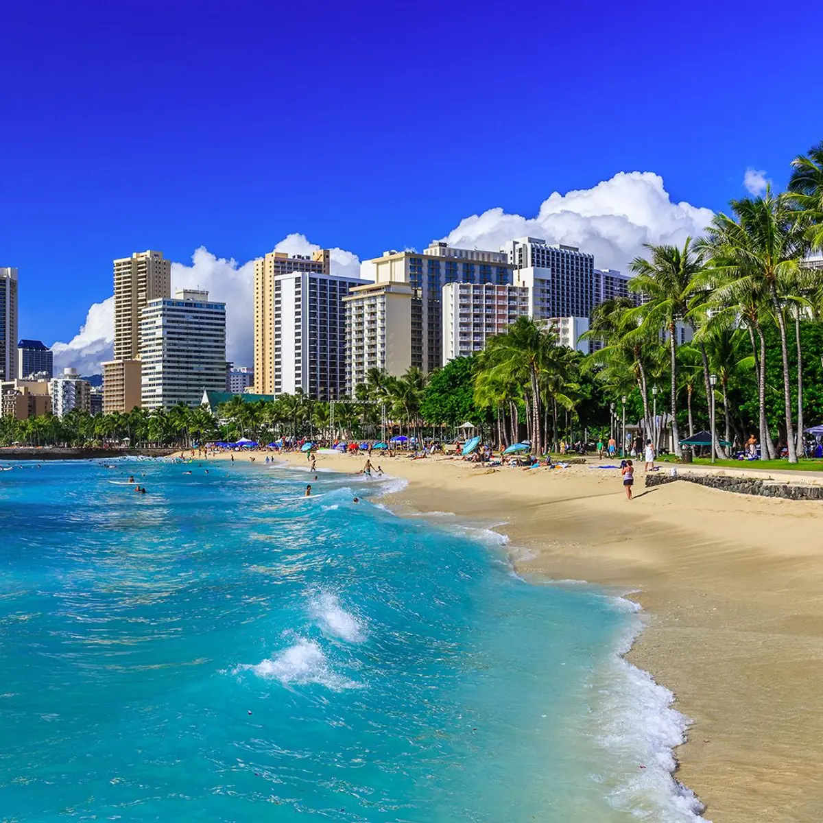 Hawaii, Trusted Partner Cruises – United States of America, 1