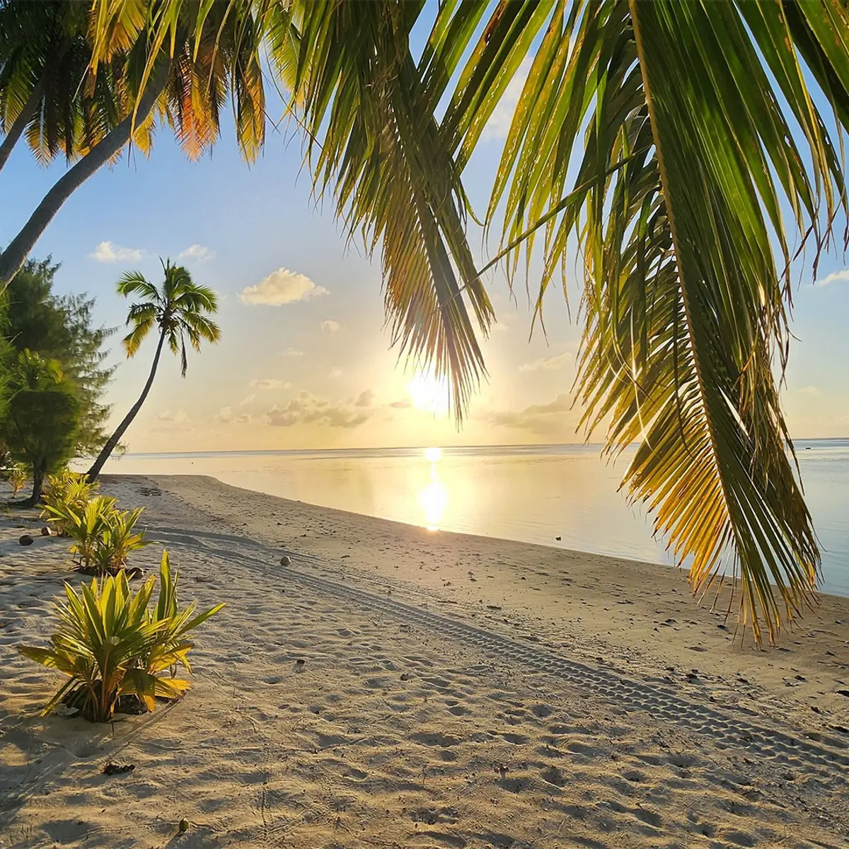 Resort Tava'e, Aitutaki, Cook Islands 4