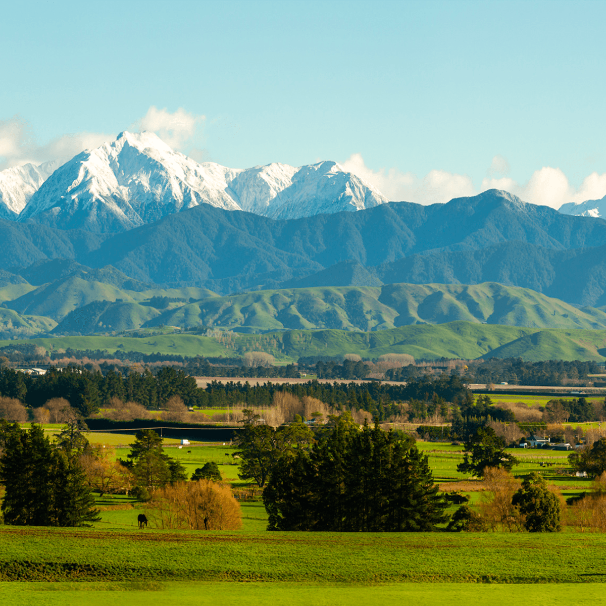 New Zealand 7-Day North Island Highlights with Waitomo Glowworm Caves & Hawke's Bay Wine Tasting by  4