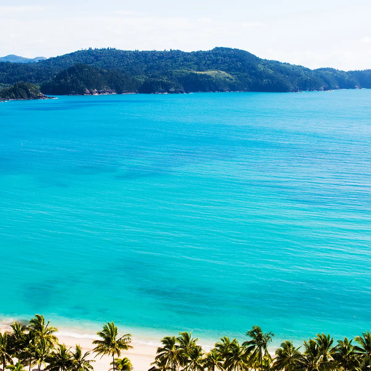 Palm Bungalows, Hamilton Island, Queensland 8