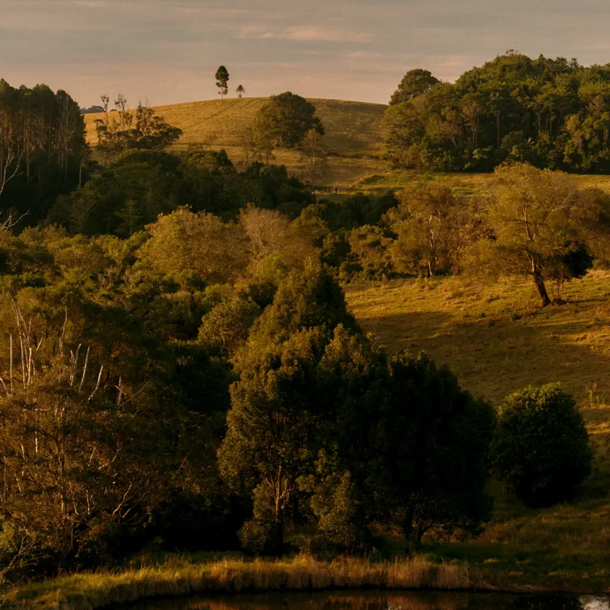The Brooklet, Byron Bay, New South Wales 7