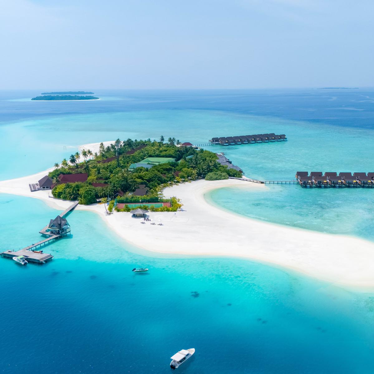 Offre à durée limitée : découverte du Sri Lanka du nord au sud en 18 jours + séjour tout compris de 5 nuits au Dhigufaru Maldives par  1