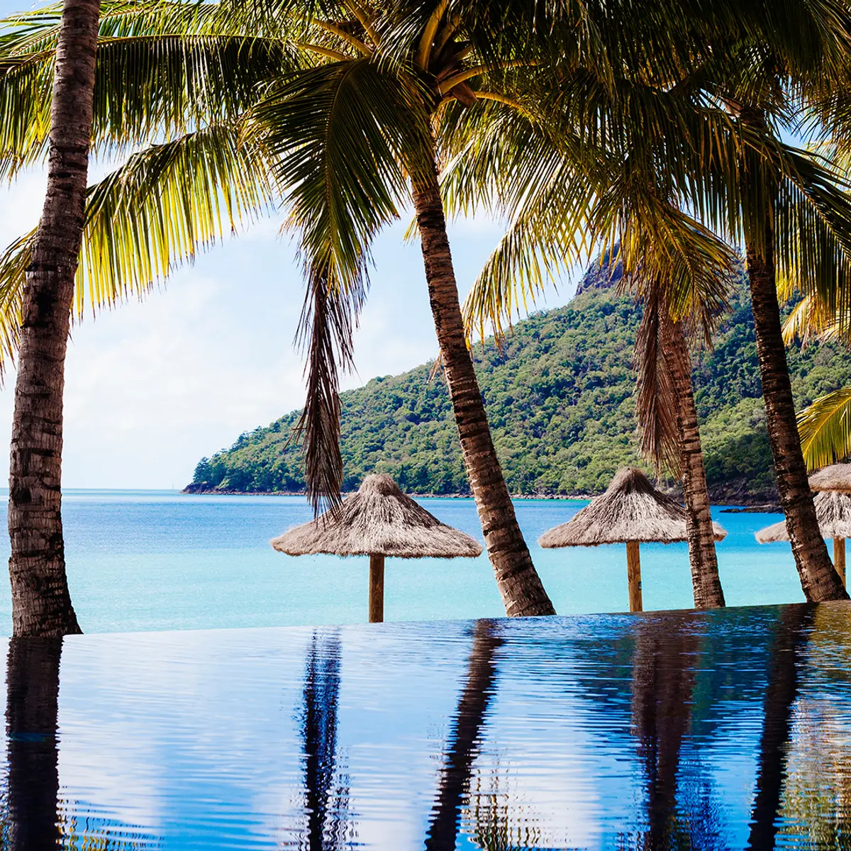 Beach Club, Hamilton Island, Queensland 5