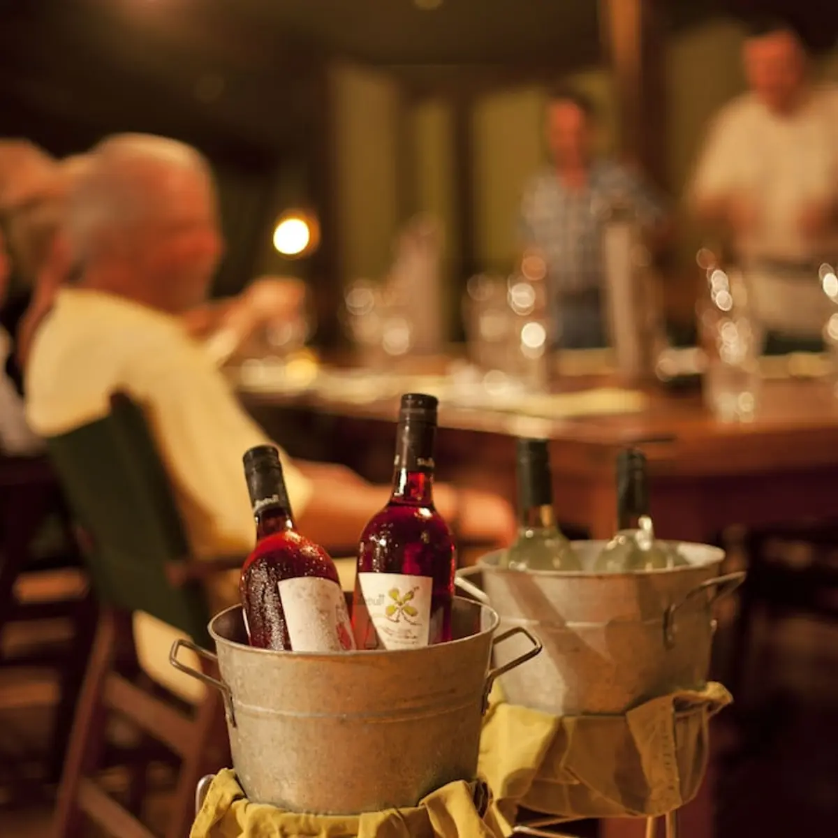 Bamurru Plains, Point Stuart, Australia 6