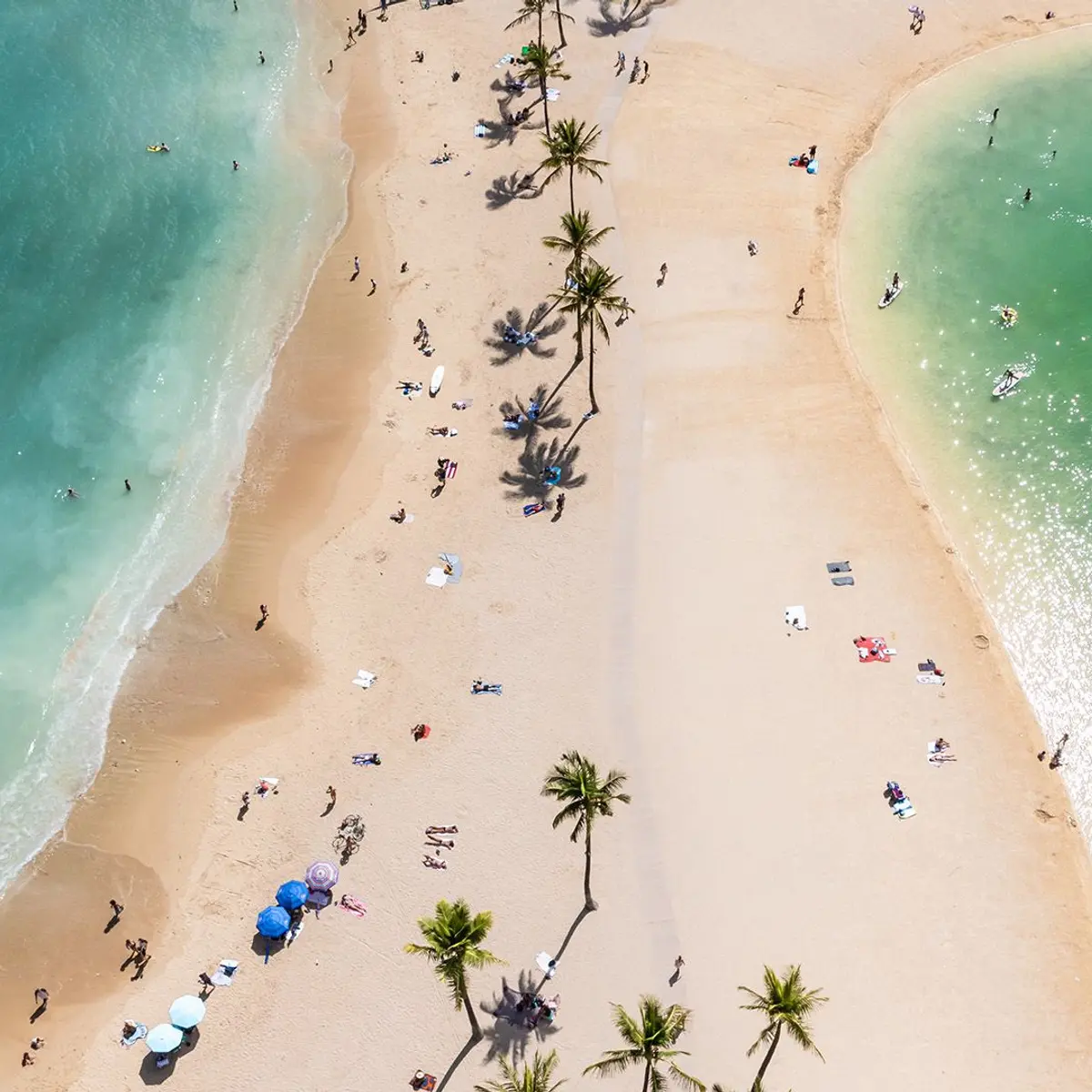 OUTRIGGER Waikiki Beachcomber Hotel, Hawaii, United States 8