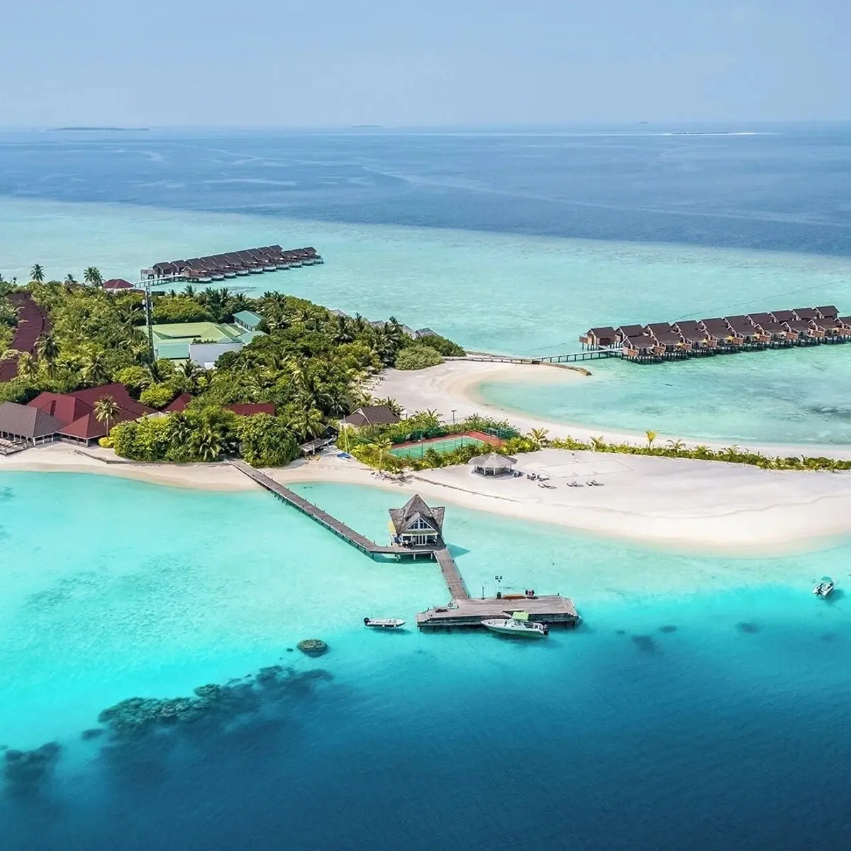 Dhigufaru Island Resort, Baa Atoll, Maldives 4
