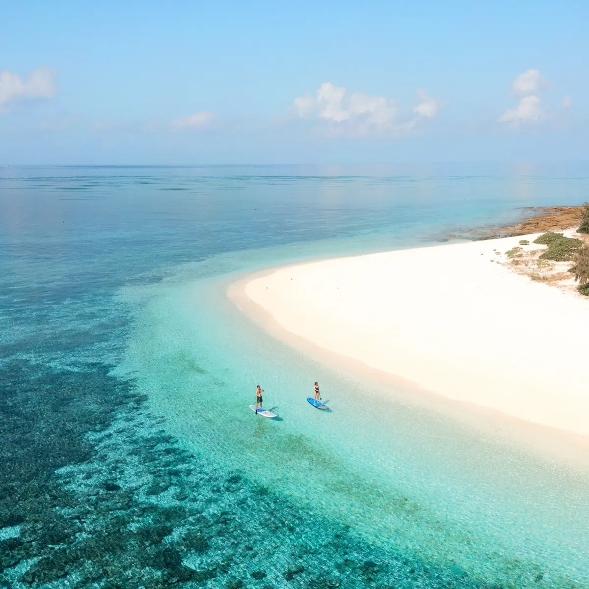 Wilson Island, Wilson Island, Queensland 1