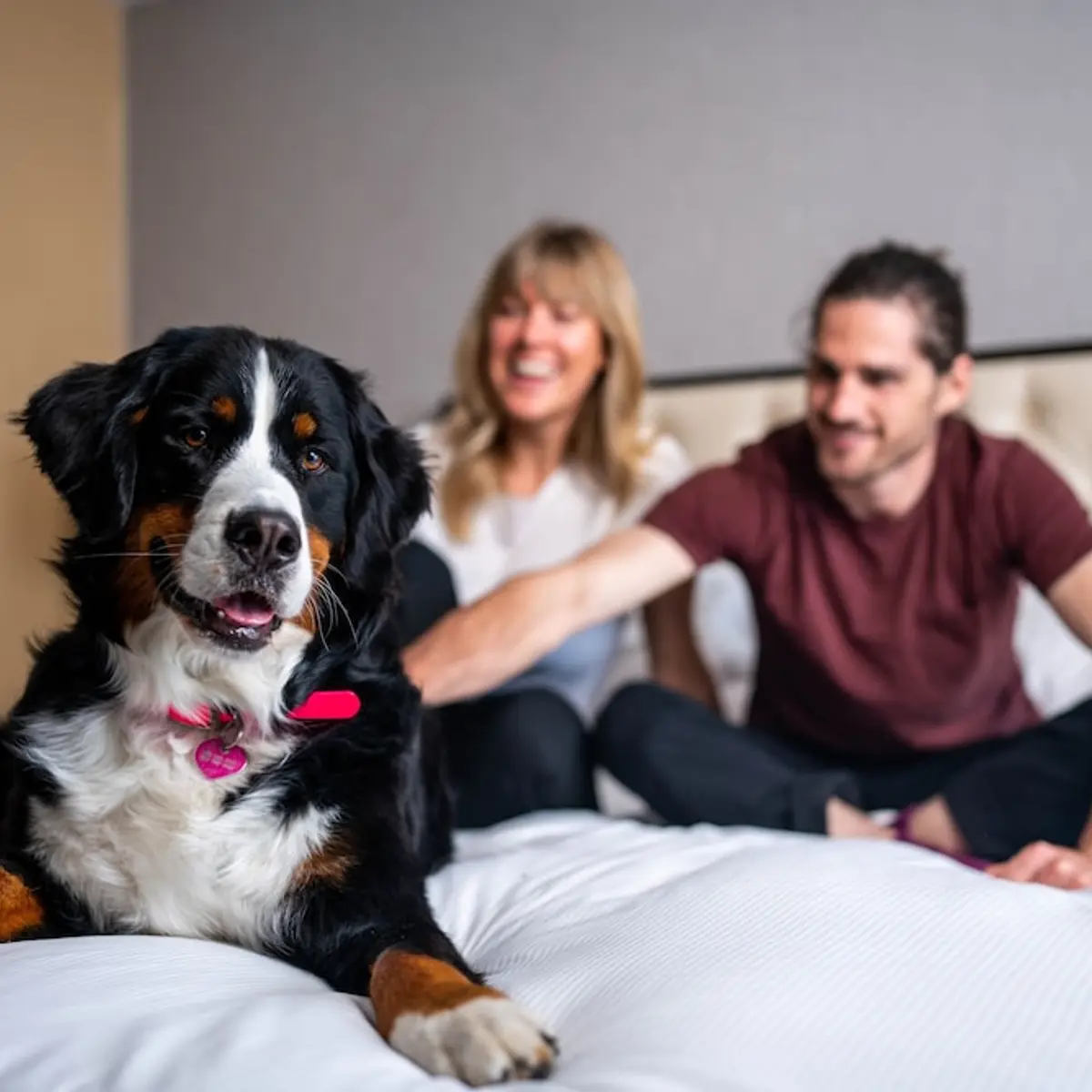 Hilton Whistler Resort & Spa, Whistler, Canada 4