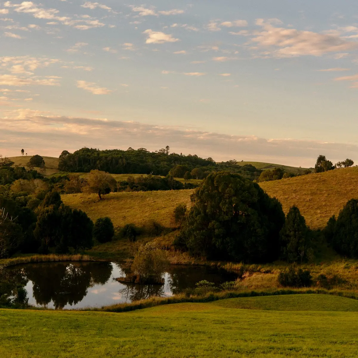 The Brooklet, Byron Bay, New South Wales 5