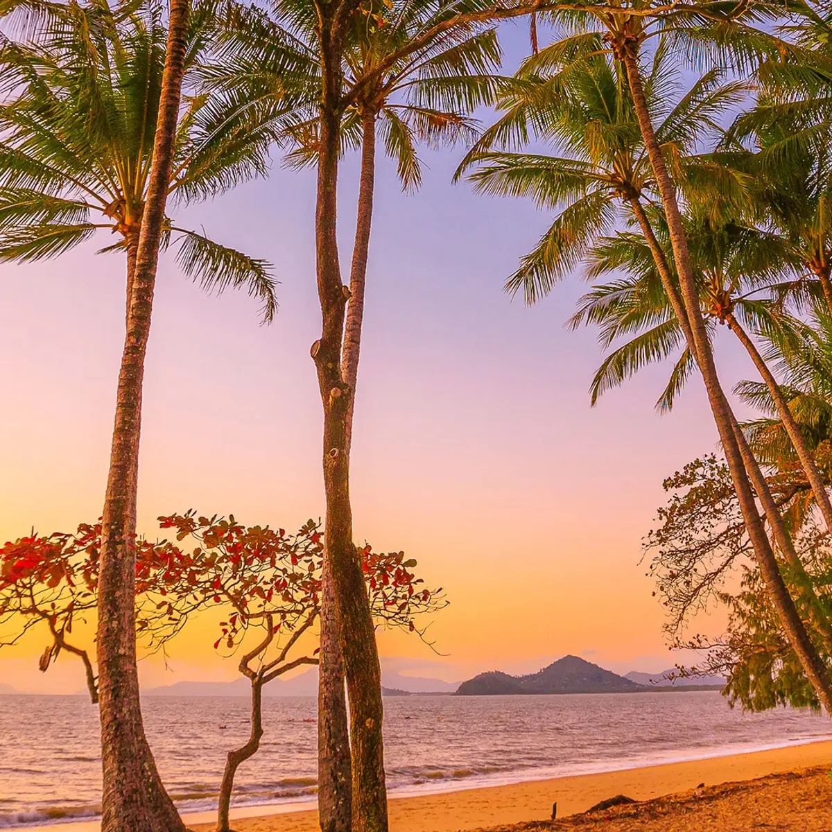 Pullman Palm Cove Sea Temple Resort & Spa, Palm Cove, Queensland 2