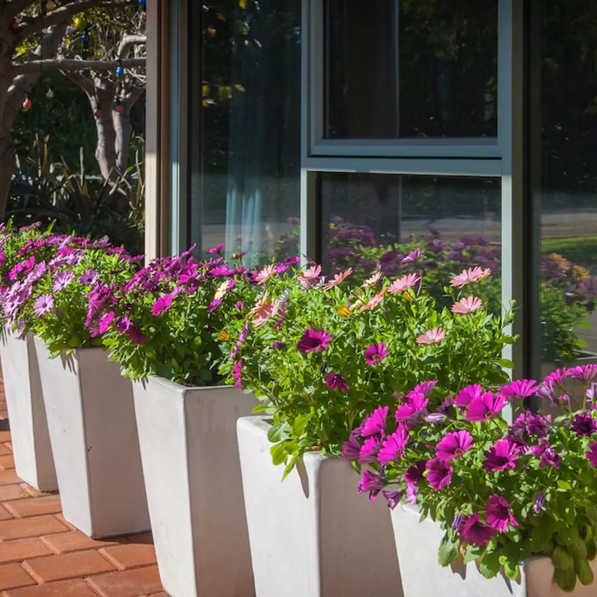 Bayshore Beachside Resort, Quindalup, Australia 2