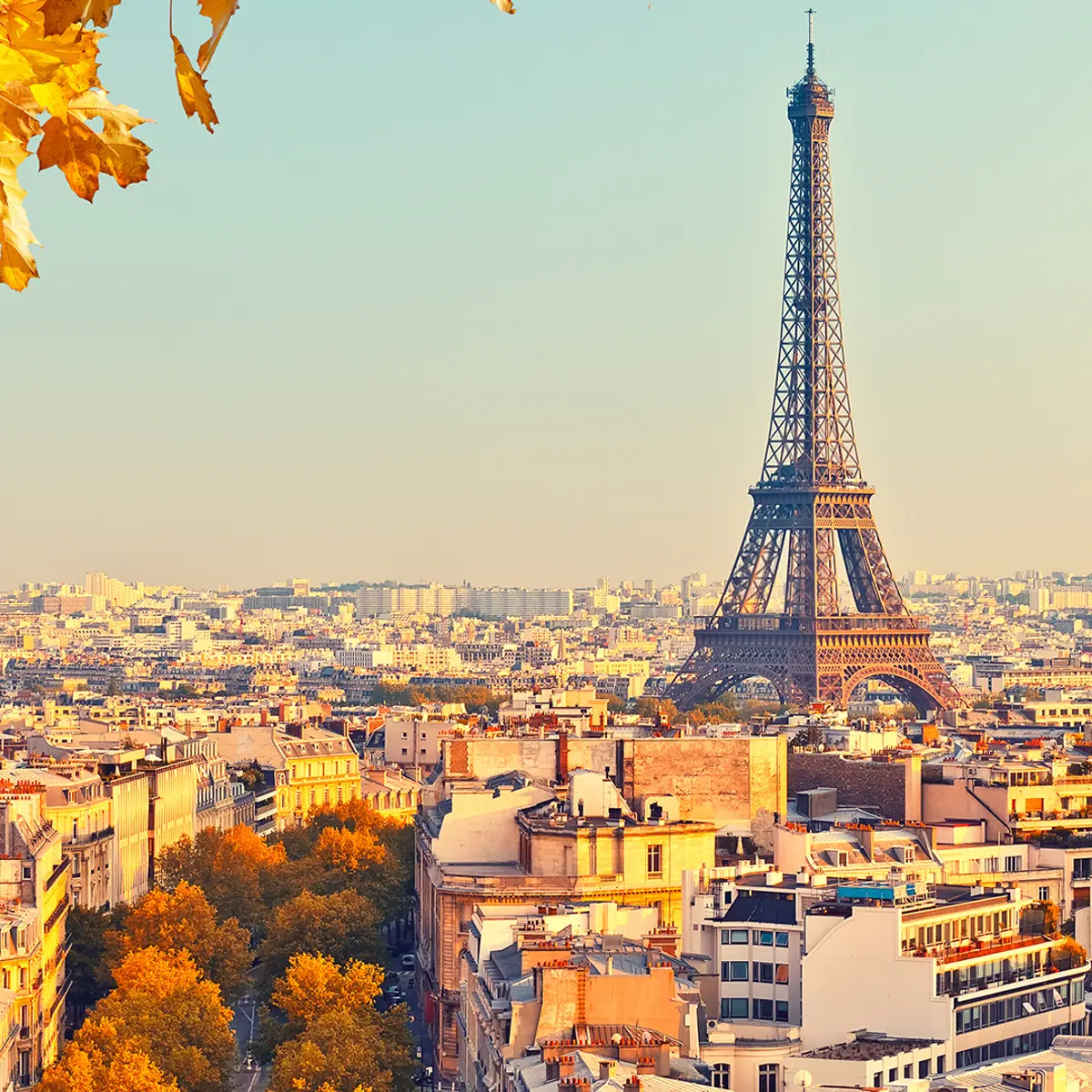 Le Bristol Paris, Paris, France 4