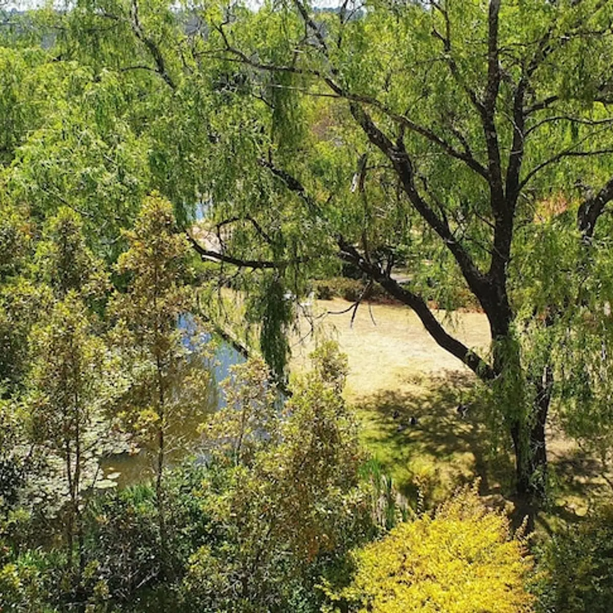 Fairmont Resort Blue Mountains MGallery Collection, Leura, Australia 8