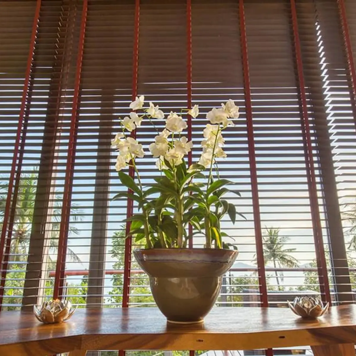 L2 Residence, Koh Samui, Thailand 7