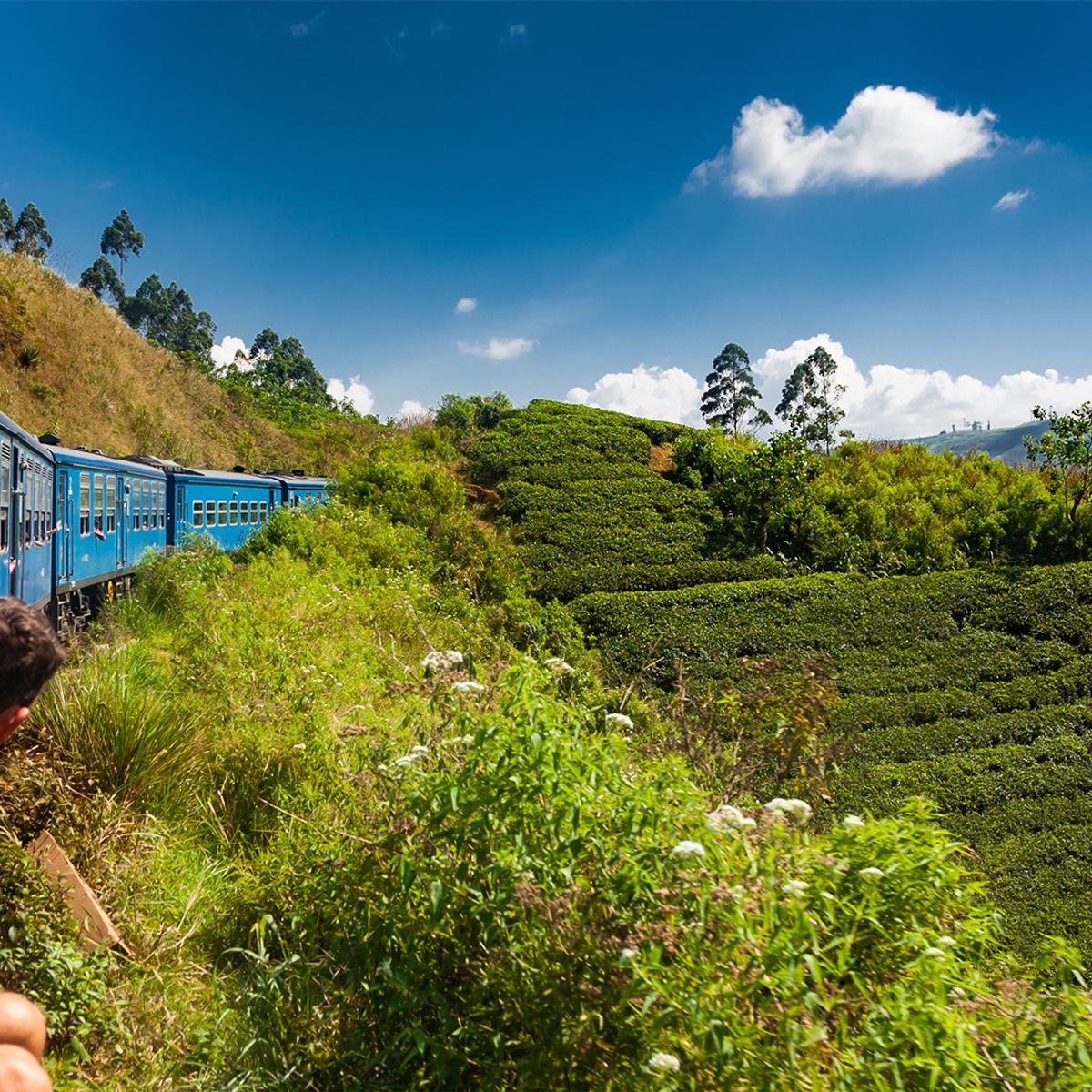 Deluxe 18-Day Ultimate Sri Lanka North to South Discovery with Udawalawe, Kandy & Five-Star Galle Stay by  1