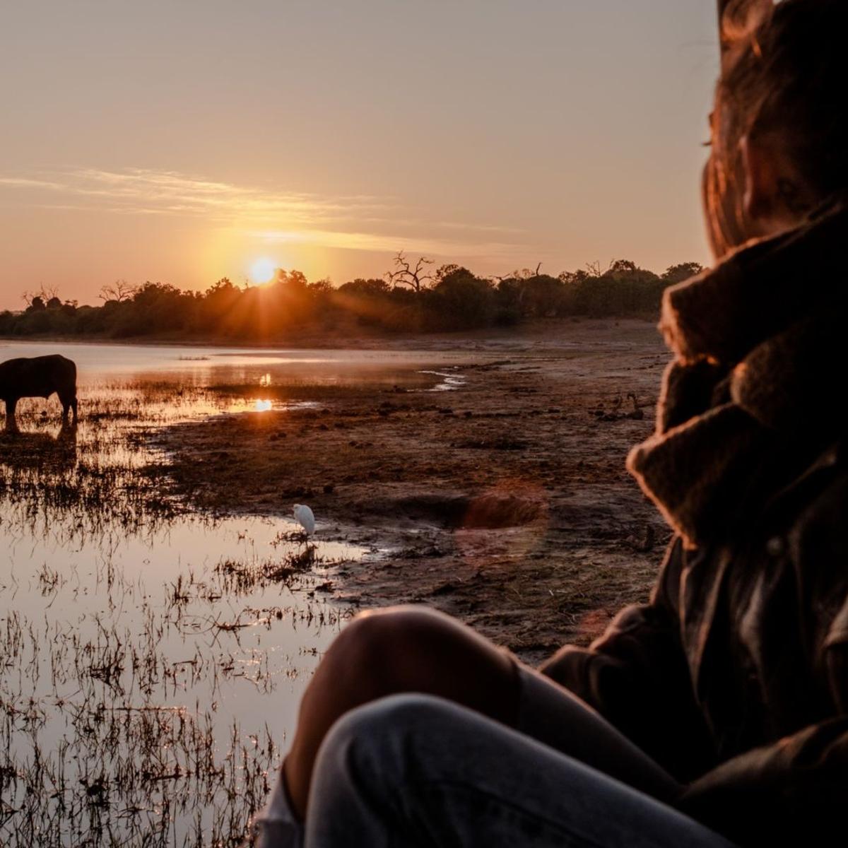 Deluxe 21-Day Ultimate Southern Africa 2027 with Cape Town, Greater Kruger, Victoria Falls & Namib Desert by  6