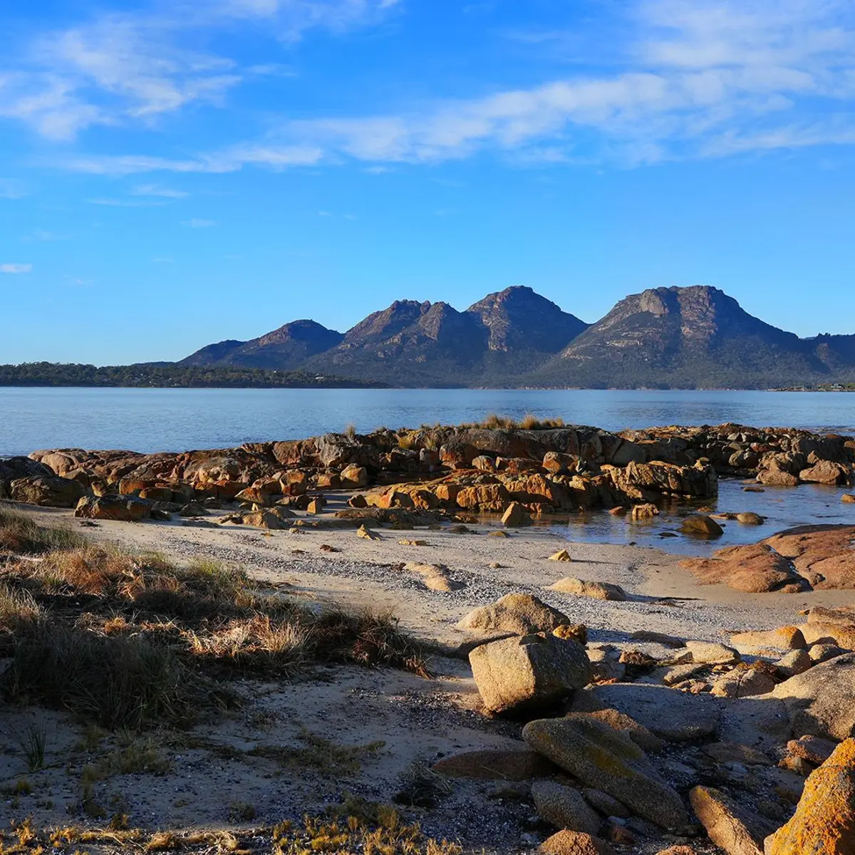 Edge of the Bay, Coles Bay, Tasmania 8