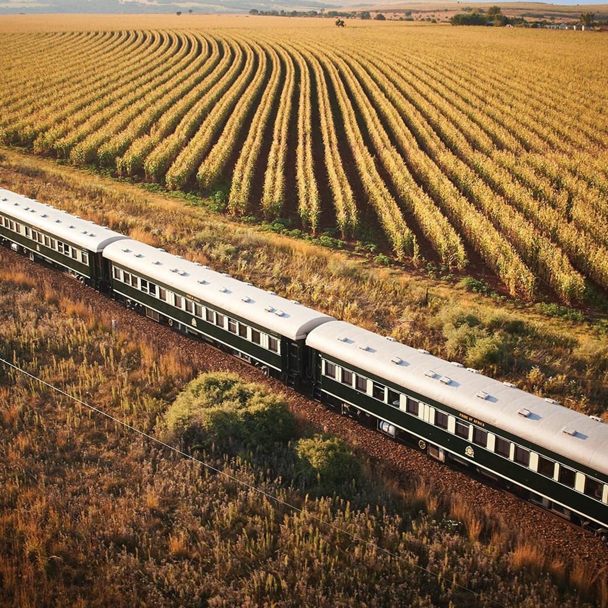 Ultra Lux 10-tägige Rovos-Rail-Reise durch Südafrika, Simbabwe und Botswana mit Chobe Game Lodge und Flusssafari von  1